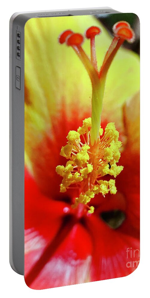 Hibiscus Portable Battery Charger featuring the photograph Hibiscus #1 by Laura Forde