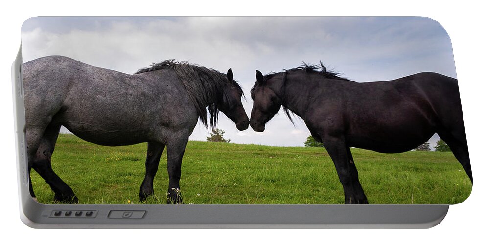 Horses Portable Battery Charger featuring the photograph Horses nuzzling on slivnica mountain #1 by Ian Middleton