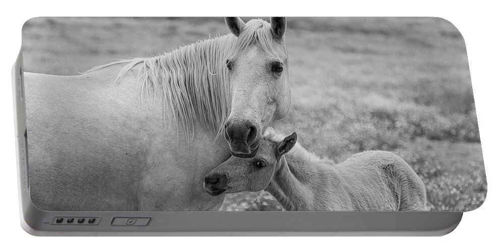 Horse Portable Battery Charger featuring the photograph Hugging momma #1 by Jamie Tyler