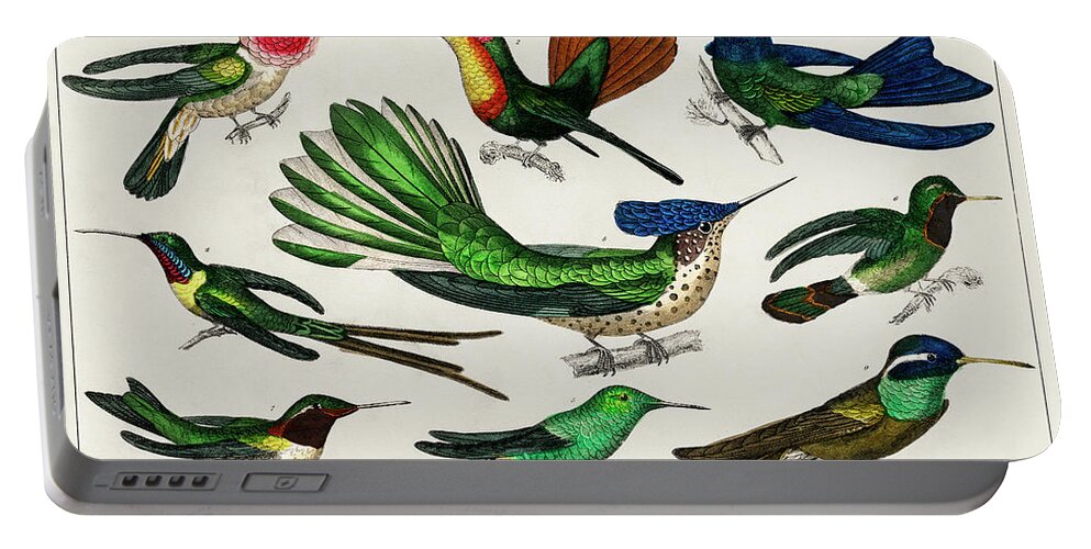 Hummingbirds Portable Battery Charger featuring the mixed media Hummingbirds #1 by World Art Collective