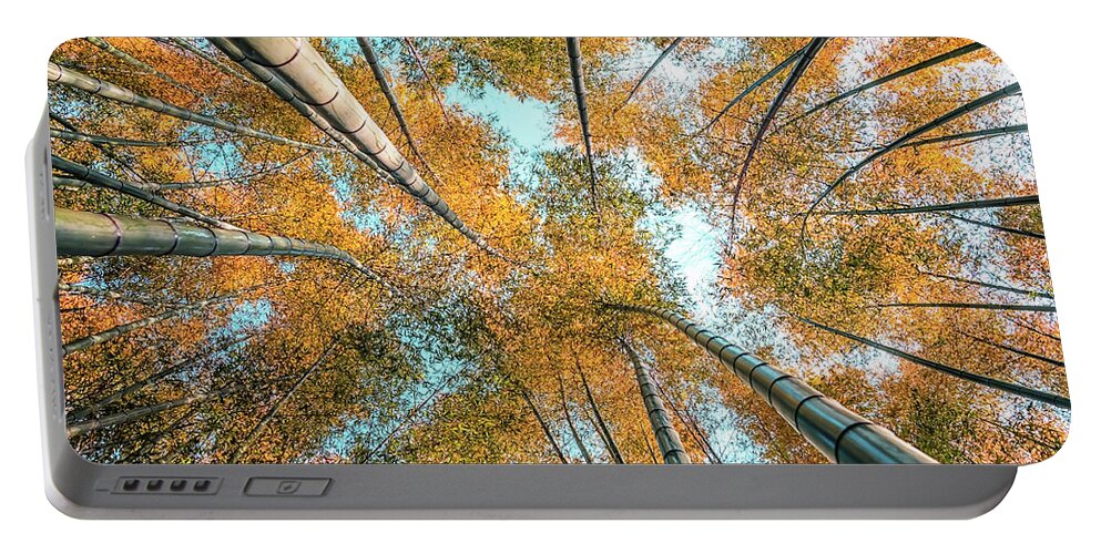 Bamboo Portable Battery Charger featuring the photograph Into The Grove #1 by Manjik Pictures