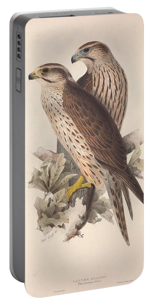 John Portable Battery Charger featuring the mixed media Lanner Falcon #1 by World Art Collective