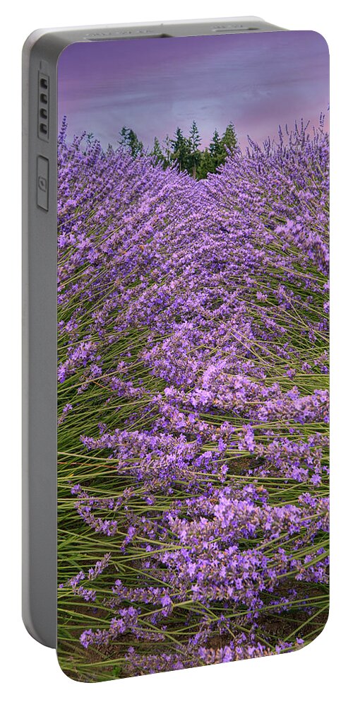 Lavender Portable Battery Charger featuring the photograph Lavender Field #1 by Minnie Gallman