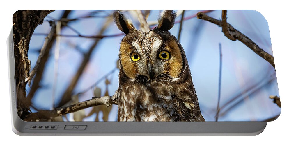 Owl Portable Battery Charger featuring the photograph Long Eared Owl Paying Close Attention #1 by Tony Hake