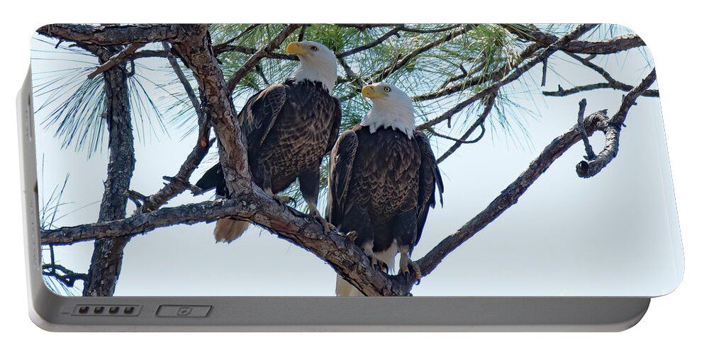 Bald Eagles Portable Battery Charger featuring the photograph M15 and Harriet #2 by Liz Grindstaff