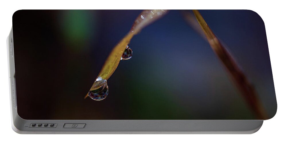 Fall Portable Battery Charger featuring the photograph Macro Photography - Water Drops on Grass by Amelia Pearn