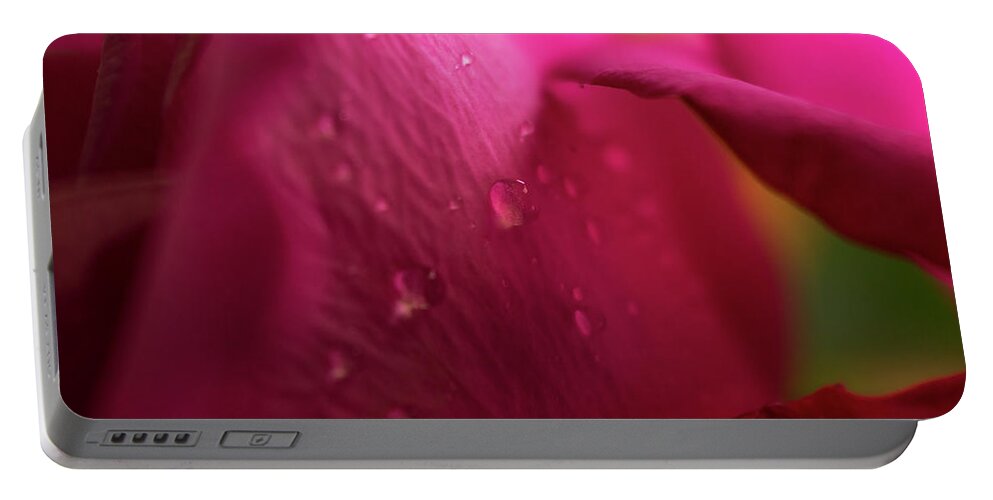 Beauty Portable Battery Charger featuring the photograph Magenta Rose Macro #1 by K Bradley Washburn
