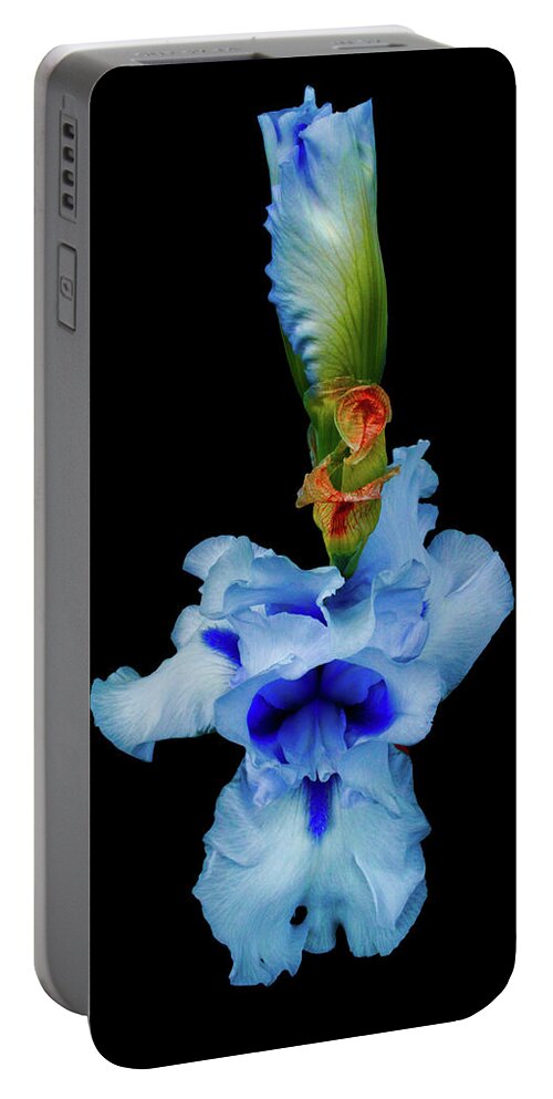 Iris Portable Battery Charger featuring the photograph Merciful Laughter Intervened by Cynthia Dickinson