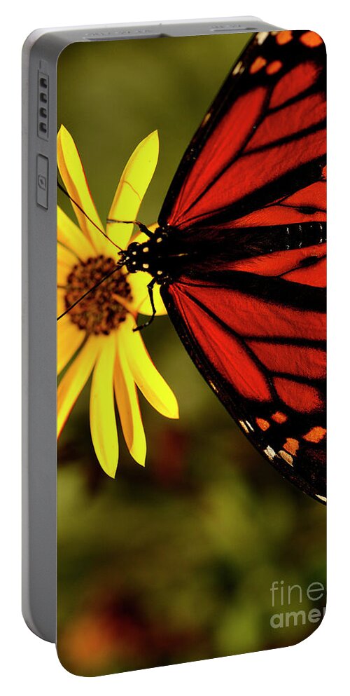 Macro Portable Battery Charger featuring the photograph Monarch Moment by John F Tsumas