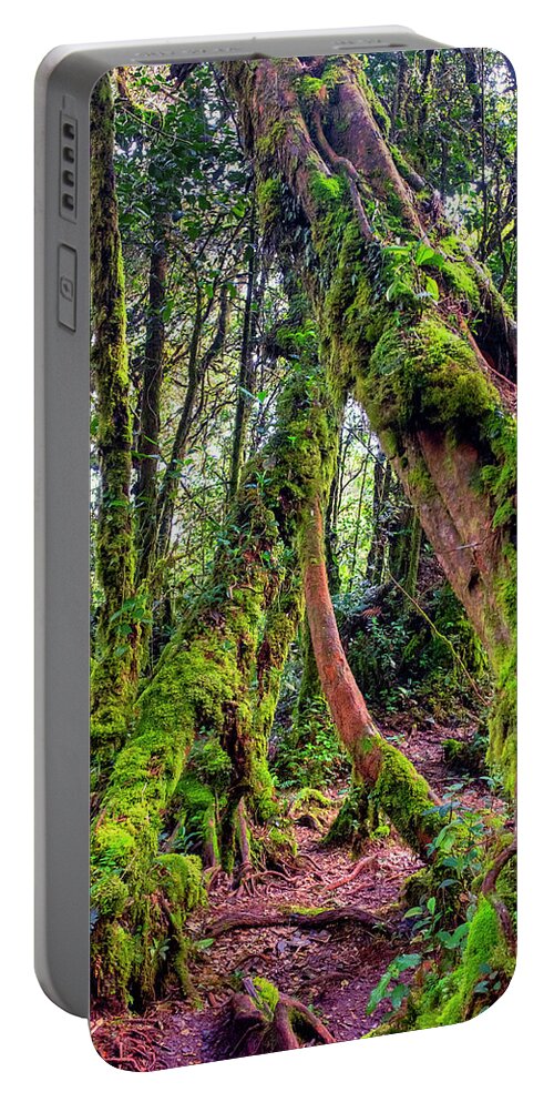 Malaysia Portable Battery Charger featuring the photograph Mossy Forest #1 by Fabrizio Troiani