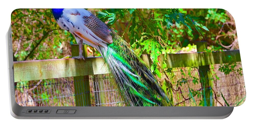 Peacock Portable Battery Charger featuring the photograph Ms Peacock #1 by Alison Belsan Horton