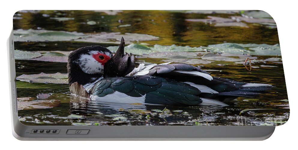 Muscovy Duck Portable Battery Charger featuring the photograph Muscovy Duck #1 by Eva Lechner