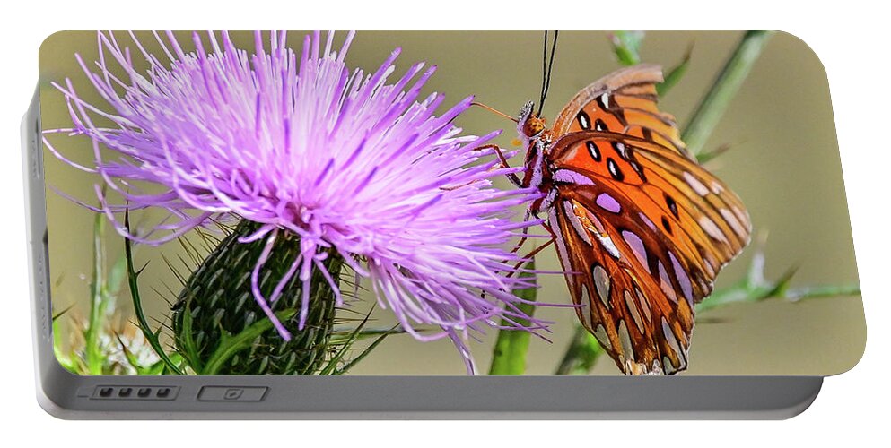 Orange Portable Battery Charger featuring the photograph Orange Fritillary #1 by Ed Stokes