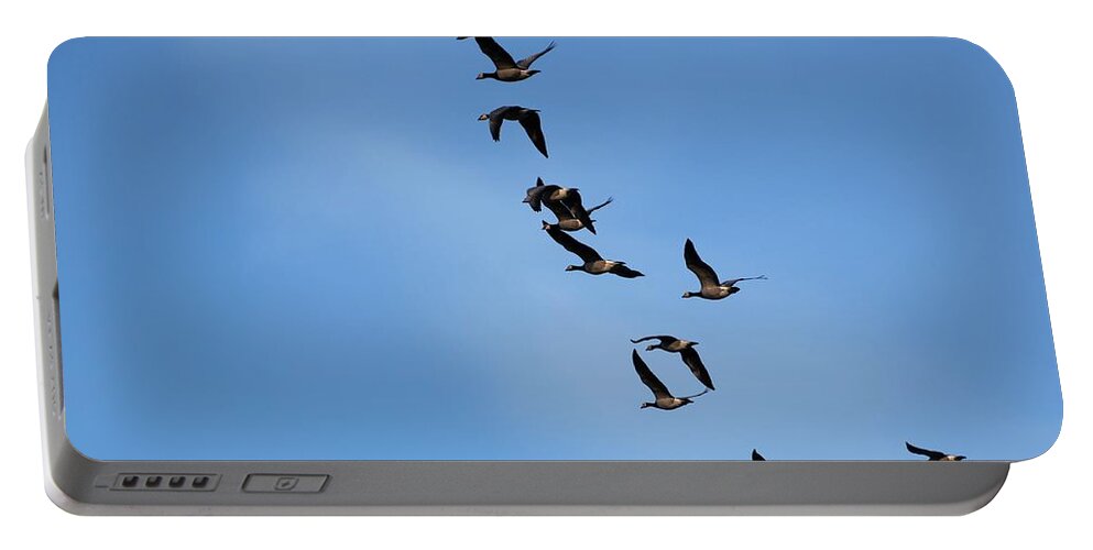 Geese Portable Battery Charger featuring the photograph Overflights 8 #1 by Jaroslav Buna