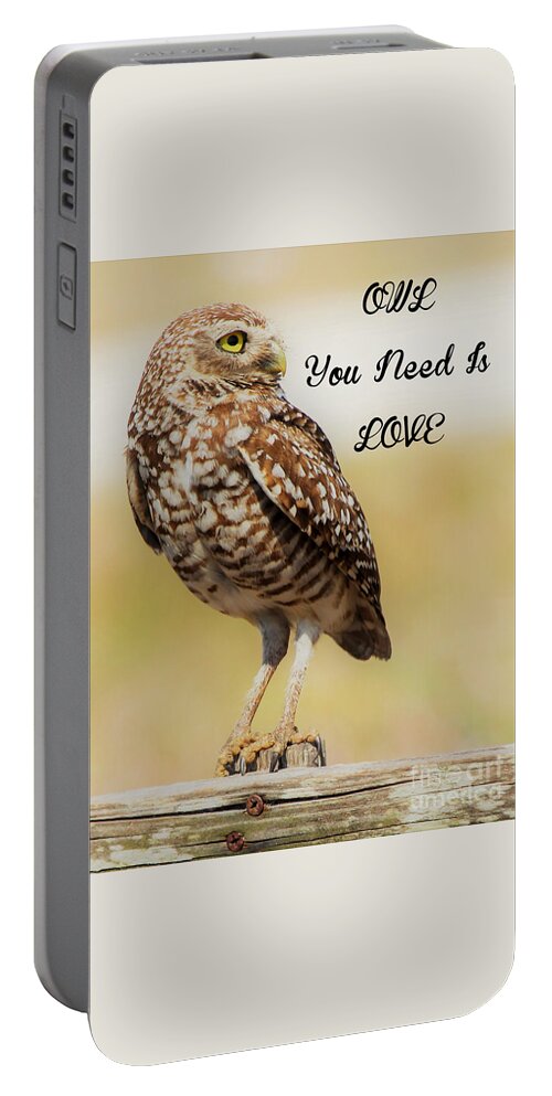Burrowing Owl Portable Battery Charger featuring the photograph Owl you need is love #1 by Joanne Carey