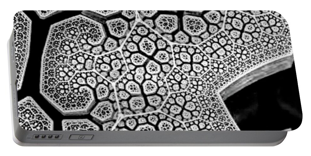 Flower Portable Battery Charger featuring the digital art Pattern Of Nature #1 by Yvonne Padmos