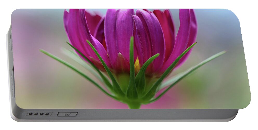 Flower Portable Battery Charger featuring the photograph Poised Perfection by Mary Anne Delgado