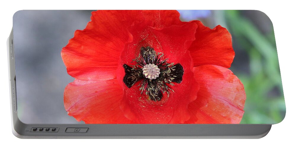 Background Portable Battery Charger featuring the photograph Poppy #1 by Tom Conway