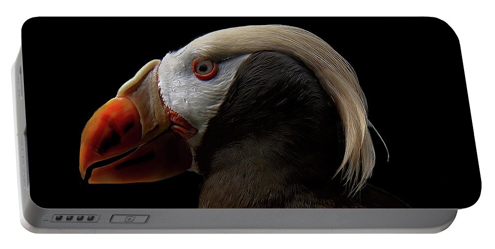 Puffin Portable Battery Charger featuring the photograph Puffin #2 by Jim Signorelli