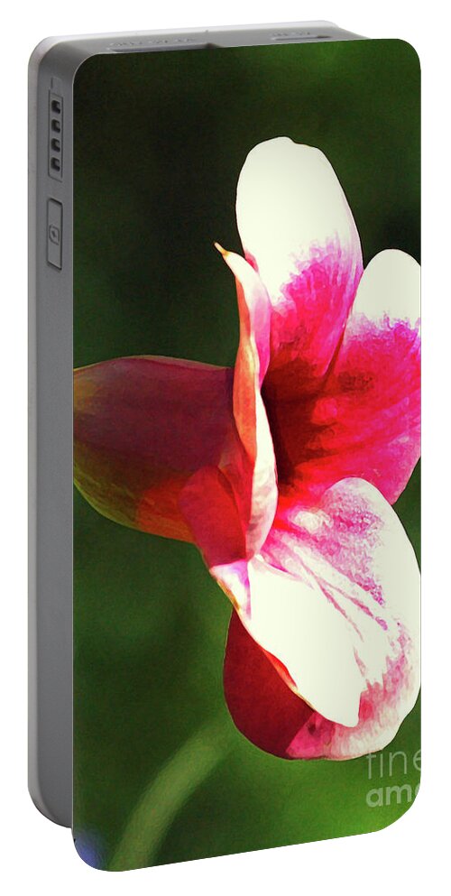 Flowers Portable Battery Charger featuring the photograph Red Flower #1 by Robert Suggs