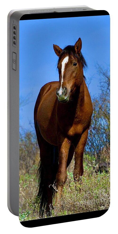 Prairie Beauty Portable Battery Charger featuring the digital art Salt River Wild Horse #1 by Tammy Keyes