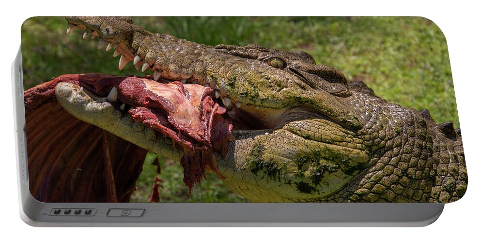 Saltwater Portable Battery Charger featuring the photograph Saltwater Crocodile Eating by Carolyn Hutchins