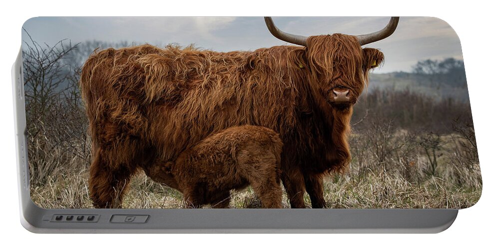Mammal Portable Battery Charger featuring the photograph Scottish Highlander With Calf #1 by Marjolein Van Middelkoop