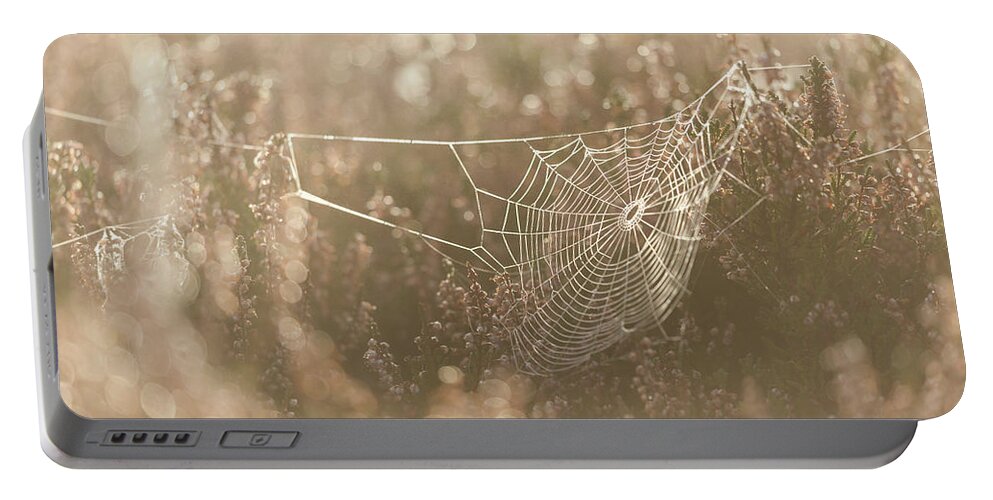 Spider Web Portable Battery Charger featuring the photograph Spider Web by Anita Nicholson