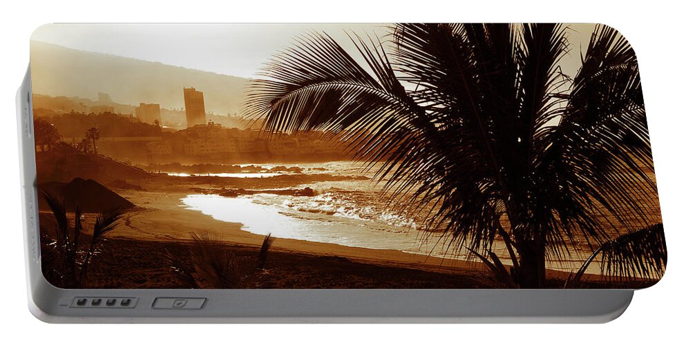 Brown Portable Battery Charger featuring the photograph Stormy weather with palm trees on the beach in sepia color #1 by Severija Kirilovaite