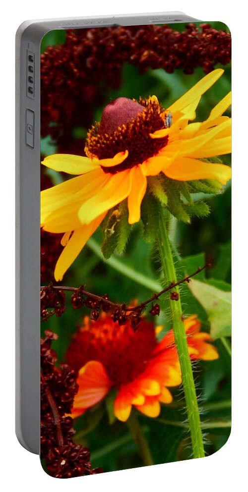 Summer Portable Battery Charger featuring the photograph Summer Blossoms #1 by Virginia White