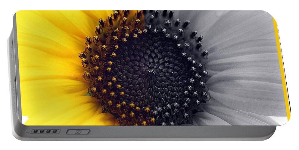 Sunflower Equinox Portable Battery Charger featuring the photograph Sunflower Equinox #1 by Natalie Dowty