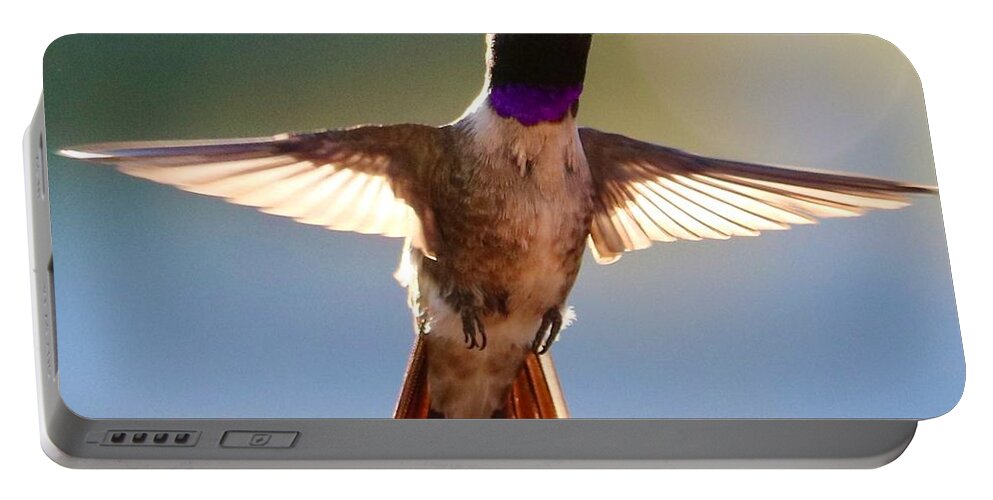 Hummingbird Portable Battery Charger featuring the photograph Super Hummingbird #1 by Carol Groenen