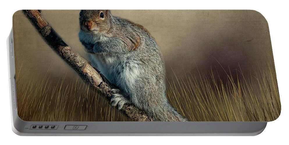Nature Portable Battery Charger featuring the photograph The Squirrel #1 by Cathy Kovarik