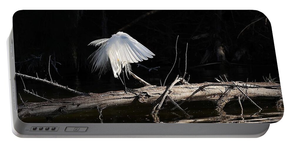 Great Egret Portable Battery Charger featuring the photograph Tranquil Scenery 1 #1 by Mingming Jiang