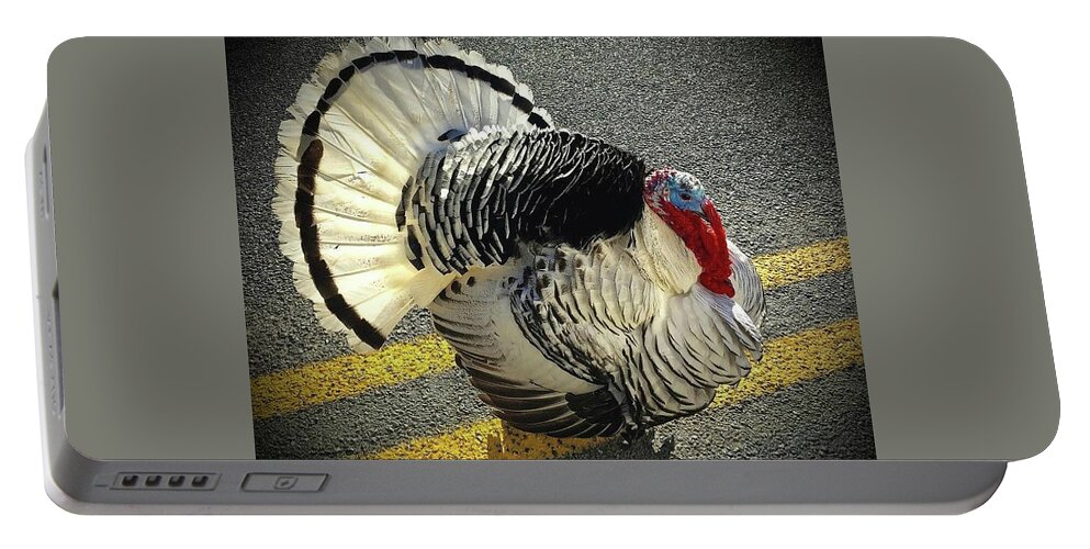 Turkey Showstopper Portable Battery Charger featuring the photograph Turkey Showstopper #1 by Kathy Chism