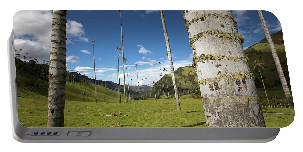 Valle Del Cocora Portable Battery Charger featuring the photograph Valle Del Cocora Salento Quindio Colombia #1 by Tristan Quevilly