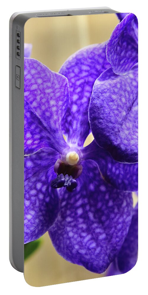 China Portable Battery Charger featuring the photograph Vanda Orchid Portrait II by Tanya Owens