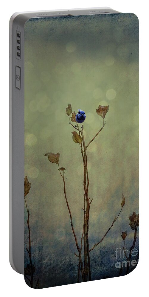 Autumn Portable Battery Charger featuring the photograph What's Left #1 by Elaine Teague
