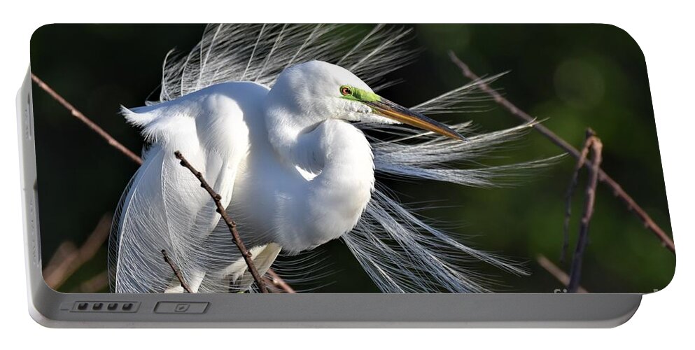 Great White Egret Portable Battery Charger featuring the photograph Windy Day #2 by Julie Adair