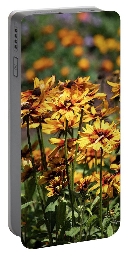 Gallardia Portable Battery Charger featuring the photograph Yellow Gold #2 by Suzanne Gaff