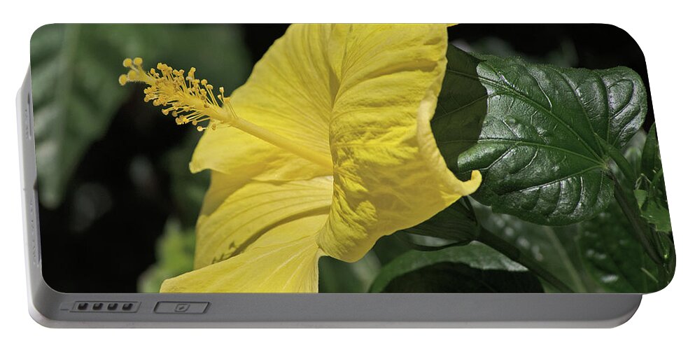Floral Portable Battery Charger featuring the photograph Yellow Hibiscus #1 by Thomas Whitehurst