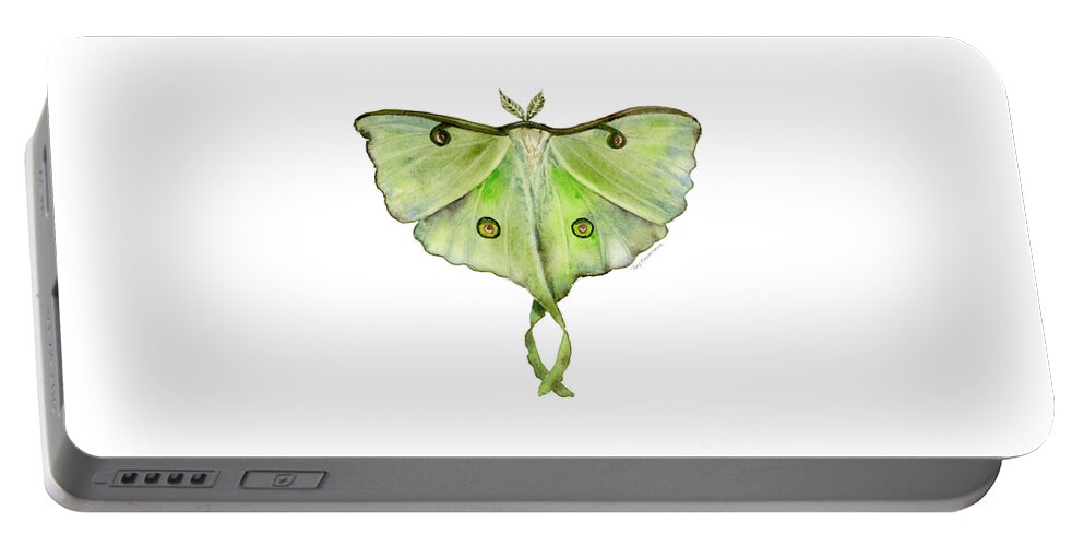Green Butterfly Portable Battery Charger featuring the painting 100 Luna Moth by Amy Kirkpatrick
