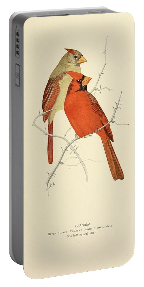 Birds Portable Battery Charger featuring the mixed media Beautiful Vintage Bird #1018 by World Art Collective