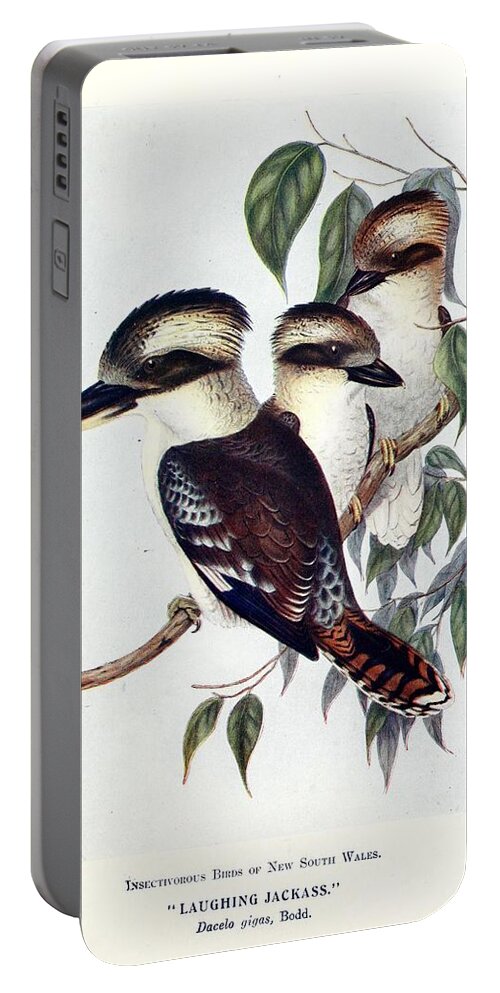 Birds Portable Battery Charger featuring the mixed media Beautiful Vintage Bird #1055 by World Art Collective