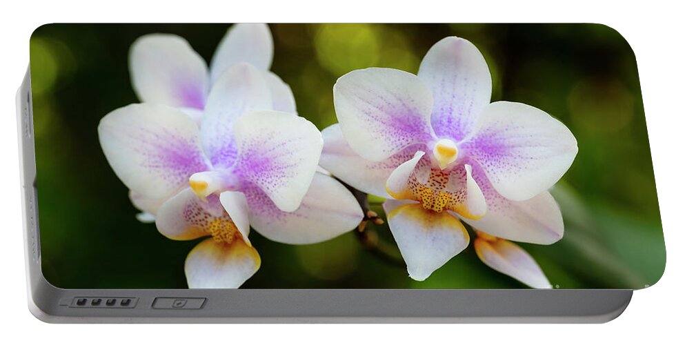 Background Portable Battery Charger featuring the photograph Purple Orchid Flowers #12 by Raul Rodriguez