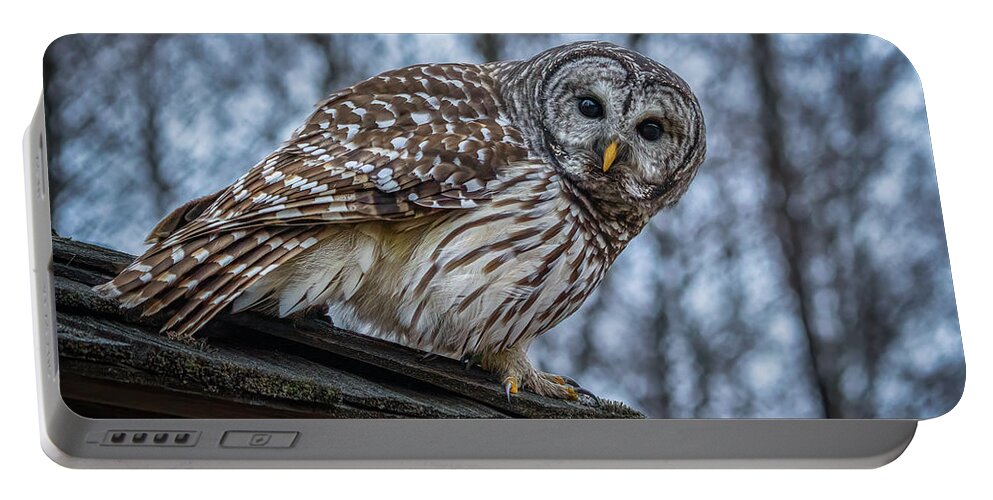 Barred Owl Portable Battery Charger featuring the photograph Barred Owl #13 by Brad Bellisle