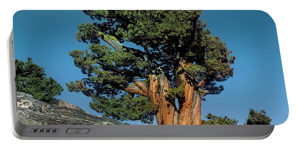 Dave Welling Portable Battery Charger featuring the photograph 141400002 Western Juniper Juniperus Occidentalis California by Dave Welling