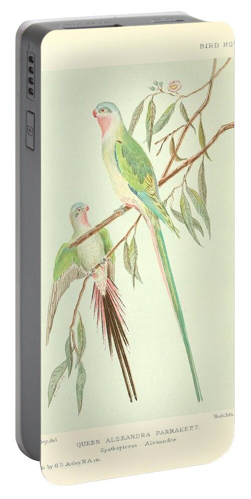 Parrot Portable Battery Charger featuring the mixed media Beautiful Vintage Parrot #159 by World Art Collective