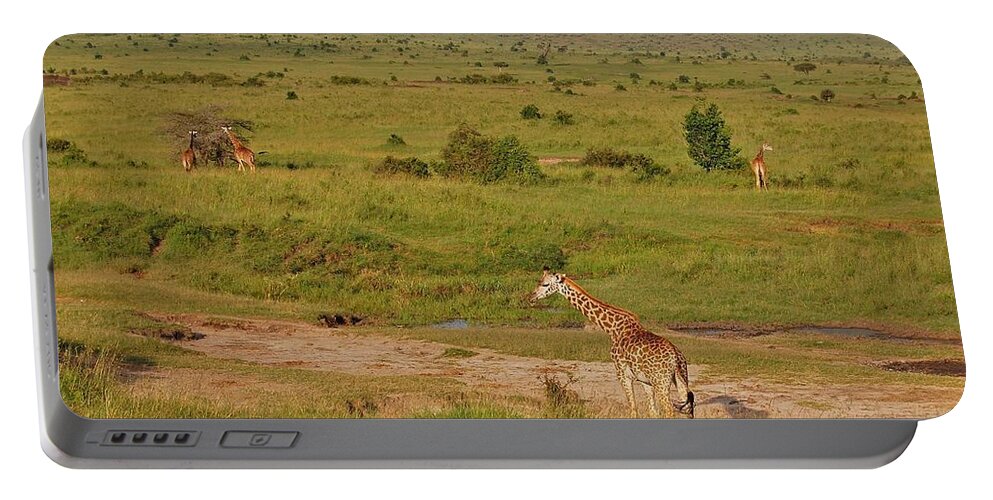  Portable Battery Charger featuring the photograph 15k by Jay Handler