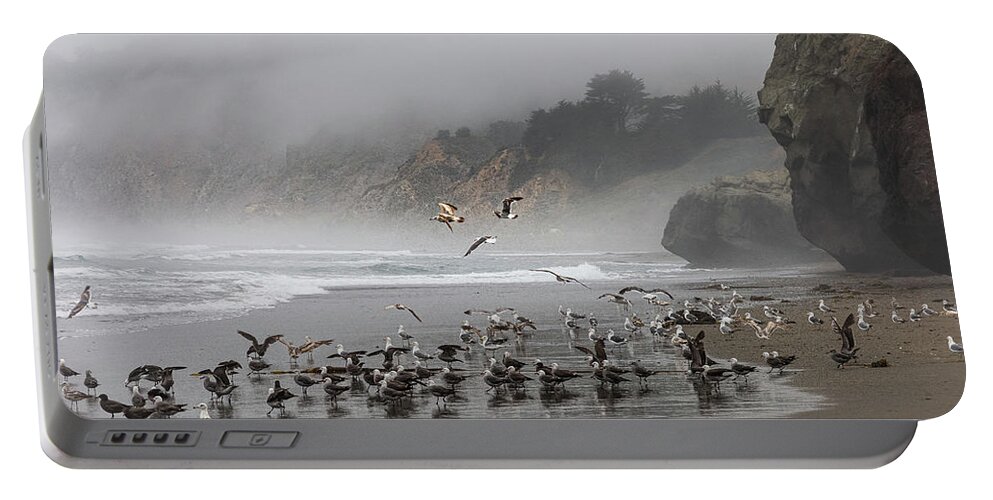  Portable Battery Charger featuring the photograph San Simeon #16 by Lars Mikkelsen